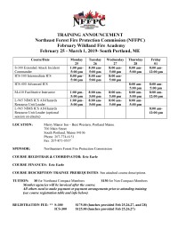 Winter Academy Announcement 2019