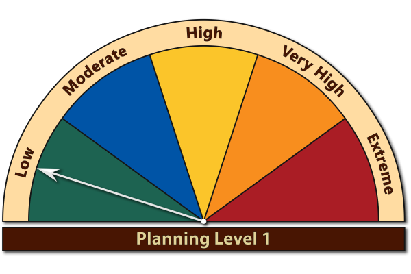 Planning Level 1