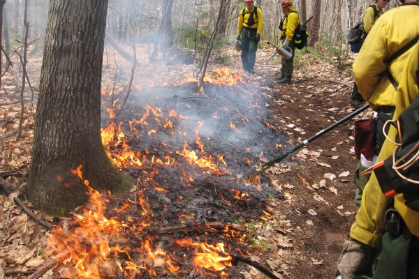 NEF Test Fire NEF Test Fire