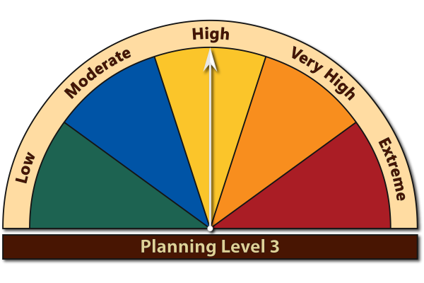 Planning Level 3