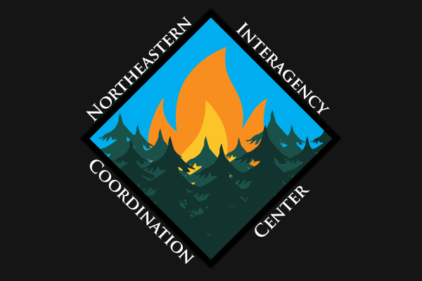 NECC Logo NECC Logo